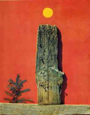 red-forest-1970
